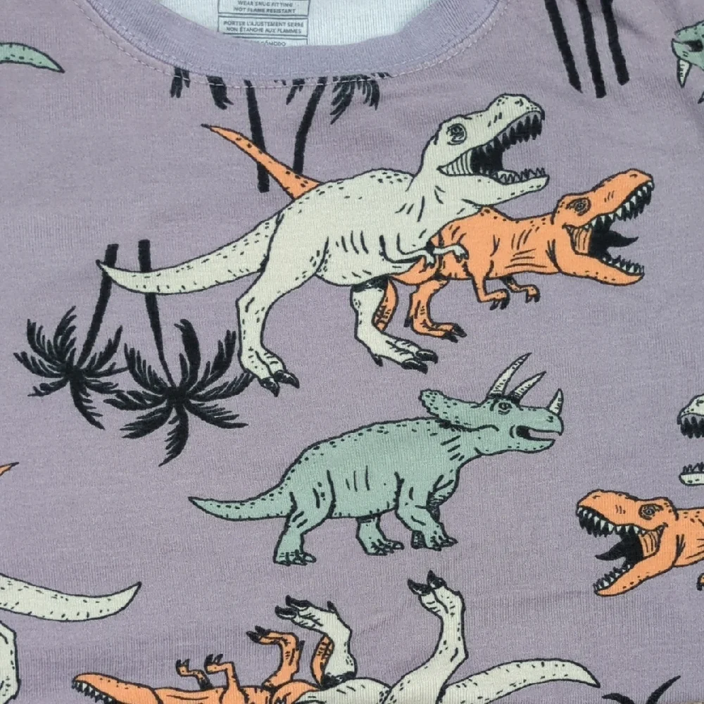 Carter's Dinosaur Pajama Set - Purple, Orange, and Green